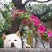 誰か呼んだ～♪^^