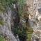 IMGP3769