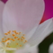P9225882