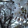 今年の桜