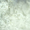 雪の名に