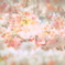 2016桜花-4