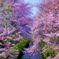 春の色彩Ⅱ