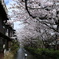 高瀬川