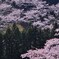 風に吹かれて