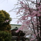 東別院