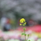 頑張ってます