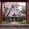 玉泉寺
