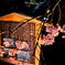 夜桜