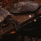 KAME NO HEION