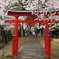 春の神社