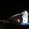 夜のライオンフィッシュ