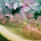 桜の水盤4