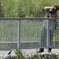 The photographer