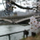 中之島公園から南天満公園へ②