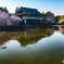 安平神宮の桜