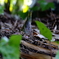 2010_04260002_1