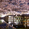 瀬田の唐橋