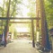 椿大神社