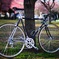 cinelli supercorsa