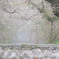 霧の桜道