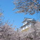 津山城_備中櫓