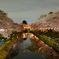 夜桜