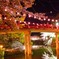 岡崎城 桜20160405
