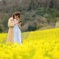 菜の花撮るふり妻を撮る