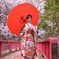桜咲く振袖べっぴんさん