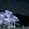 薄墨桜と星降る夜