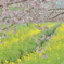 まぼろし