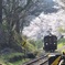 わたらせ渓谷鉄道