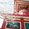 四国八十八か所　23番札所　薬王寺