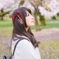 2016 sakura