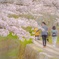 朝の散歩道