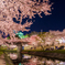 岡崎城と桜2016
