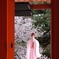 春の祈り