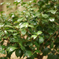 new_DSC02324_ph