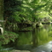 岐阜公園