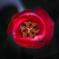 覗き見