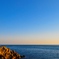 海