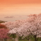 紫雲出山　