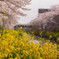 spring storm