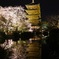 東寺