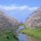 玉湯川 桜風景 2
