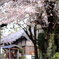 西光寺