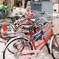 鮮やかな自転車に乗って
