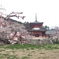 雲上殿
