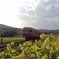 小湊鉄道